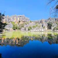 The Stone Forest | Kunming 