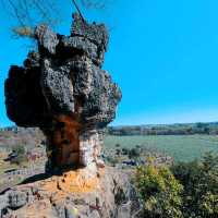 The Stone Forest | Kunming 