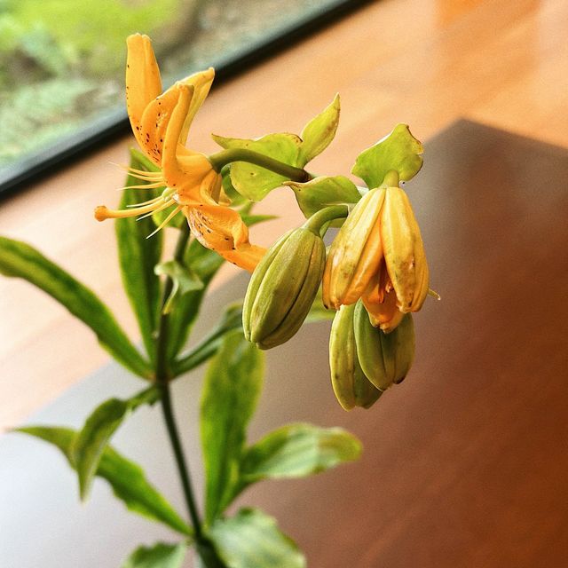 三井花園飯店 京都新町