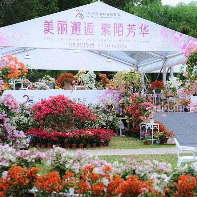 ✨深圳~蓮花山公園🌺✨