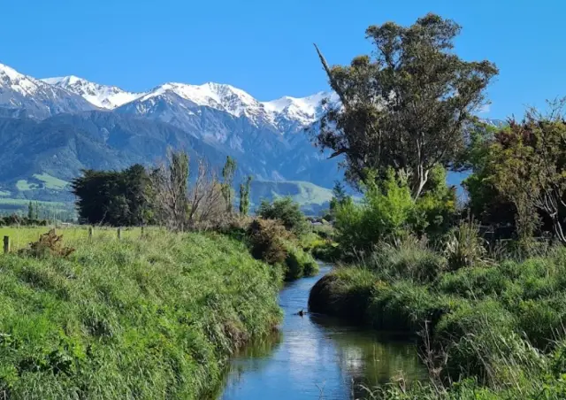 Kaikoura Family Trip: A Perfect Guide to Natural Wonders and Cultural Exploration