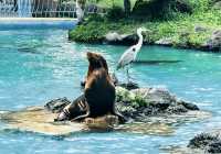 全球追秋｜天王寺動物園大自然與動物的完美結合