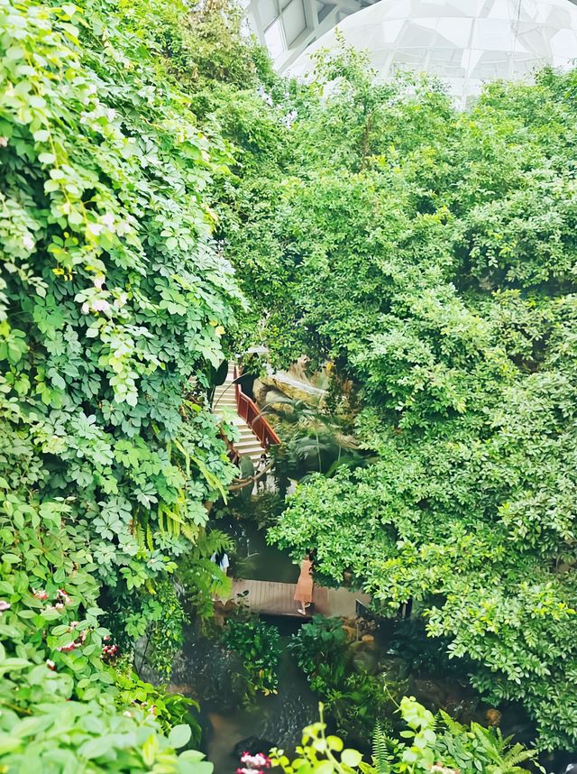 江西贛州博物館植物園【叮叮推薦】