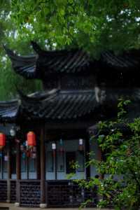 看不夠的江南雨|雨天慢遊常熟曾趙園宛若走進了詩畫裡