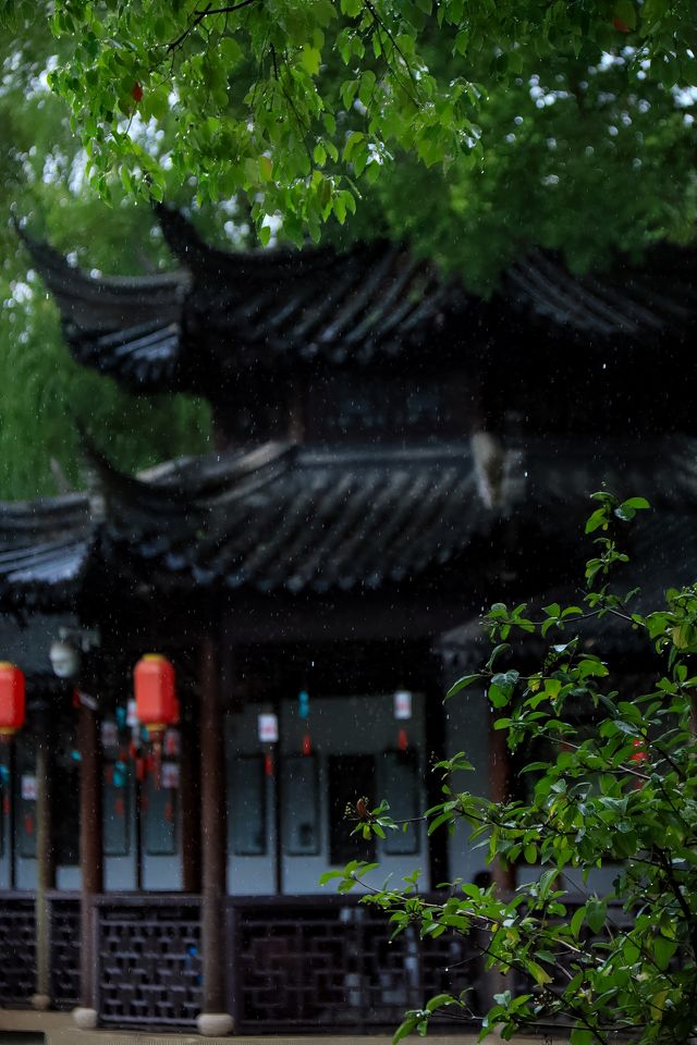 看不夠的江南雨|雨天慢遊常熟曾趙園宛若走進了詩畫裡 看不夠的江南雨|雨天慢遊常熟曾趙園宛若走進了詩畫裡