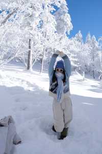 雪谷太美了，下次不會來了