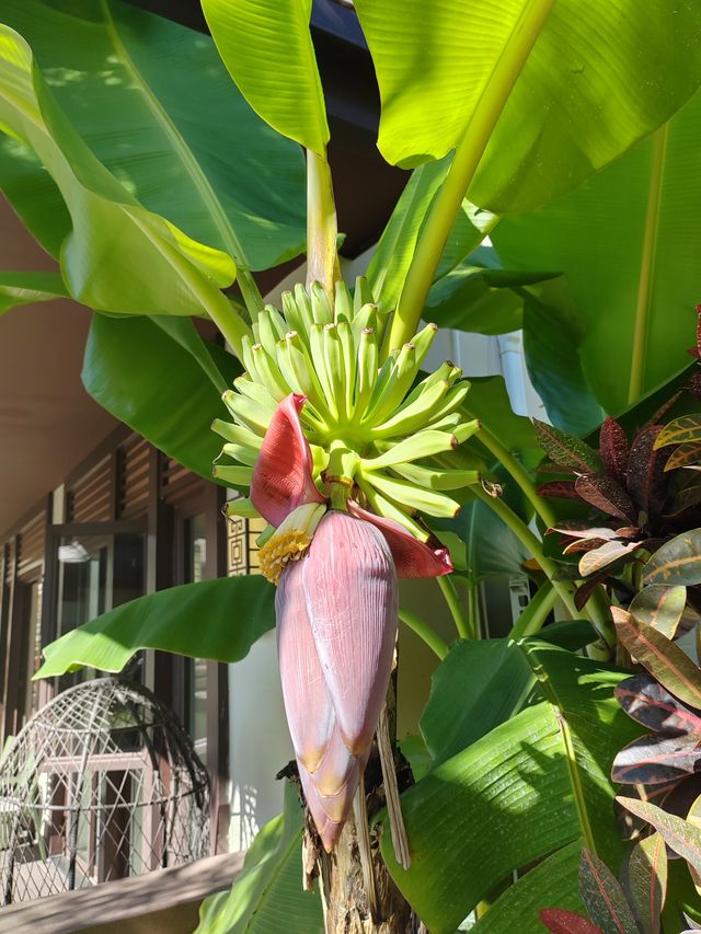 過冬好出處