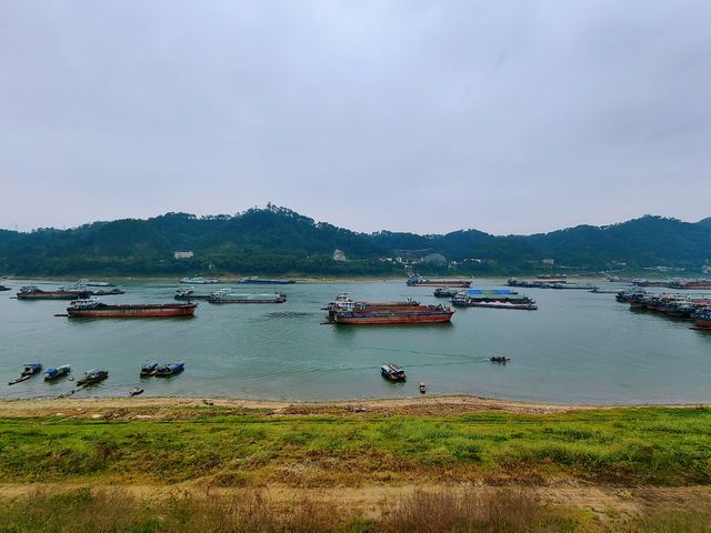 梧州鴛江麗港
