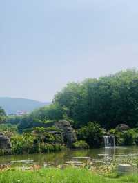 西雙版納｜去了熱帶花卉園n次，總結出3種玩法