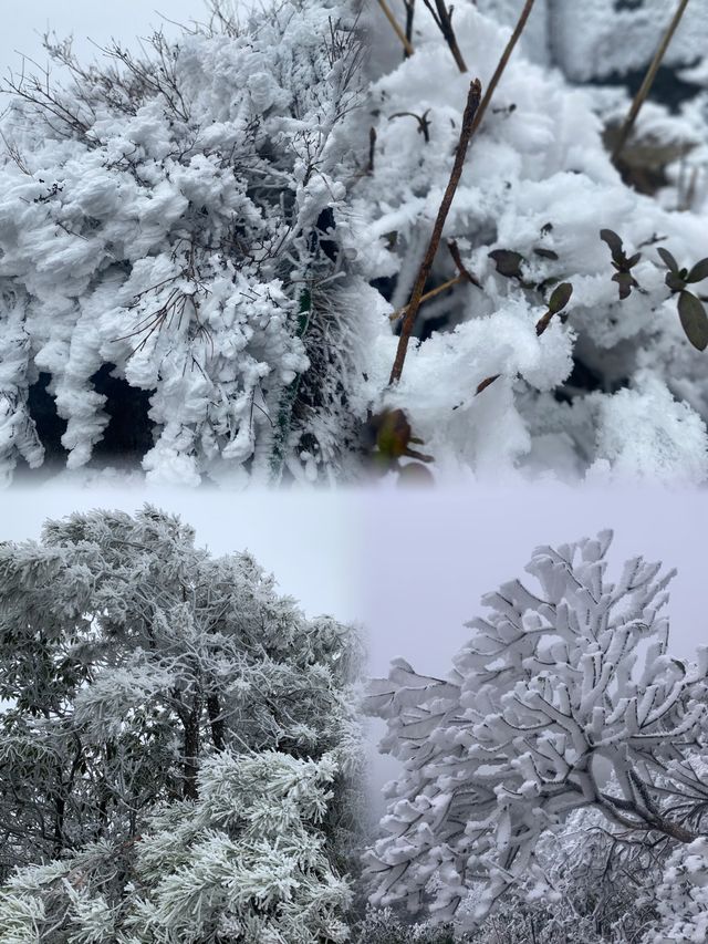 廣東也有玉龍雪山！！也能看霧凇雲海