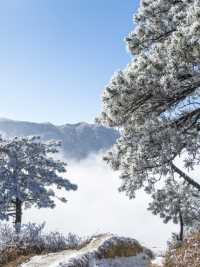 這個冬天總要來一次武功山吧