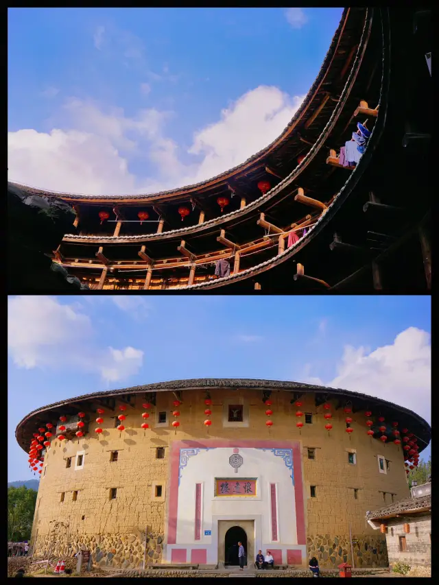 To see this thousand-year-old banyan tree, I came to Yunshuiyao