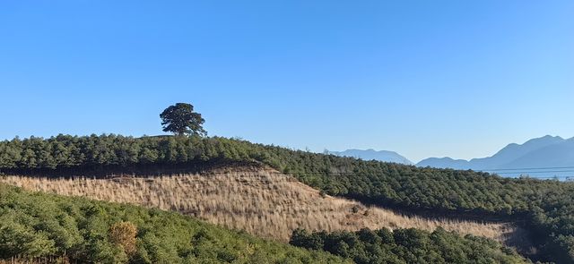 昆明東川紅土地