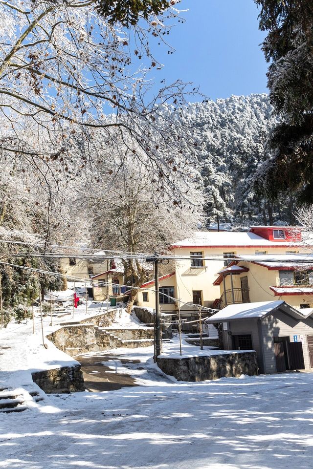 古人說“不識廬山真面目”，體會到了，廬山的雪景！絕美！