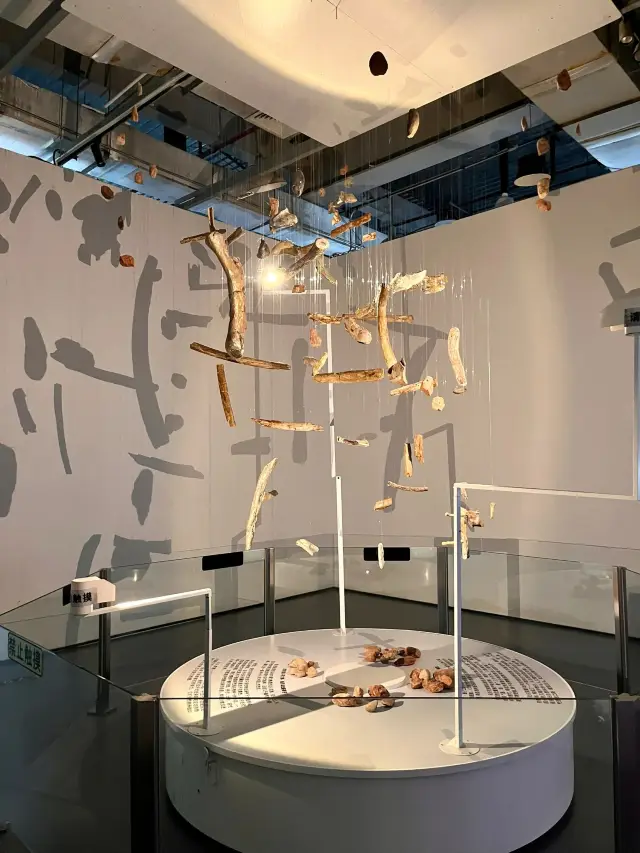 Immerse yourself in the Xiamen Astronomy and Technology Museum