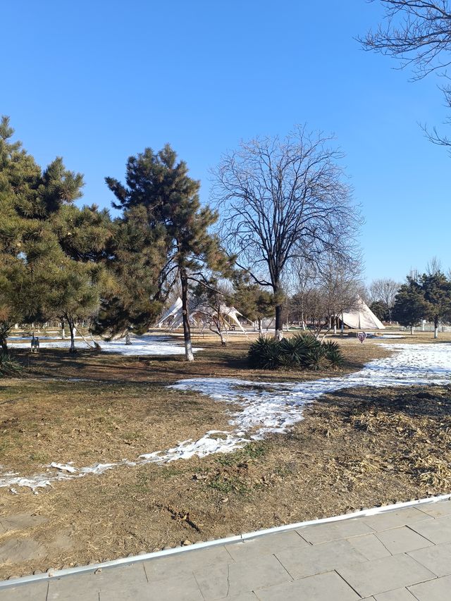 來安陽，看殷墟國家考古遺址公園