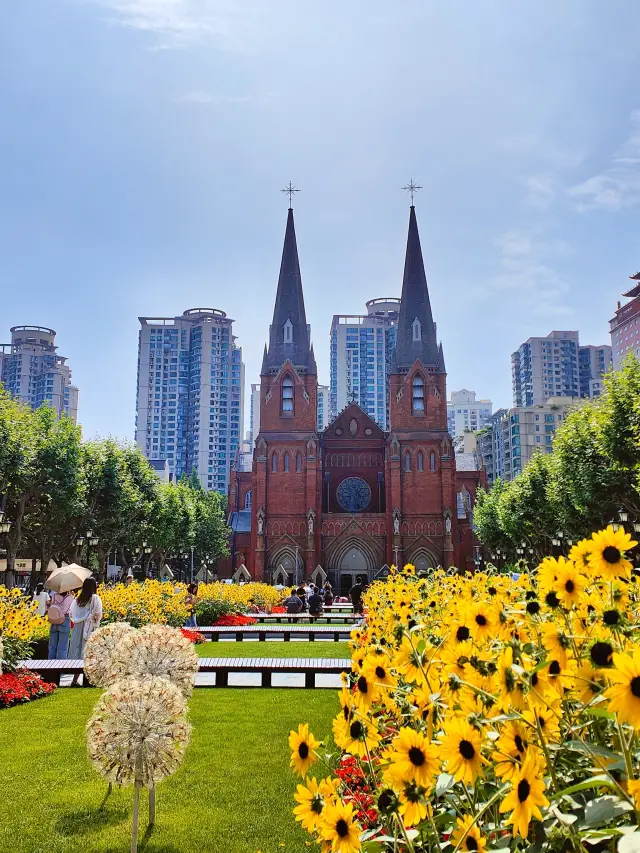 The sunflowers at Xujiahui Church are in bloom, here's a travel route for you