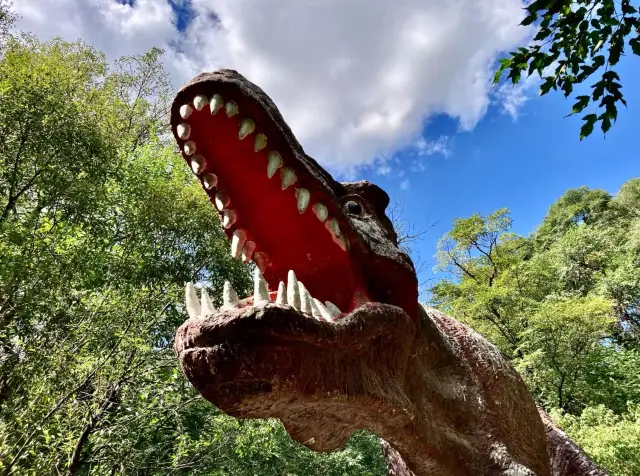 Away from the hustle and bustle of the city, fresh air, lush forests