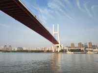 一橋飛架黃浦江—南浦大橋