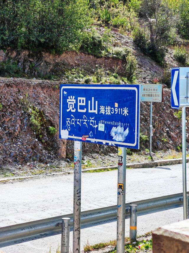 滇藏行59
