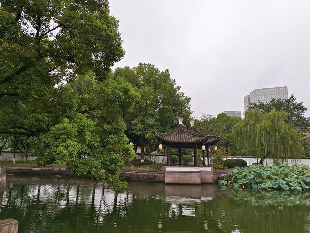 江南煙雨，湖色書香