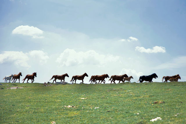 忻州市|五台山朝台大圓滿全攻略