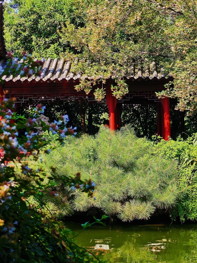 鄭州·夢溪園隱匿在鬧市裡的絕美小園林 鄭州·夢溪園隱匿在鬧市裡的絕美小園林