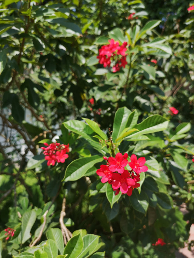 逛公園增長知識，好玩好玩