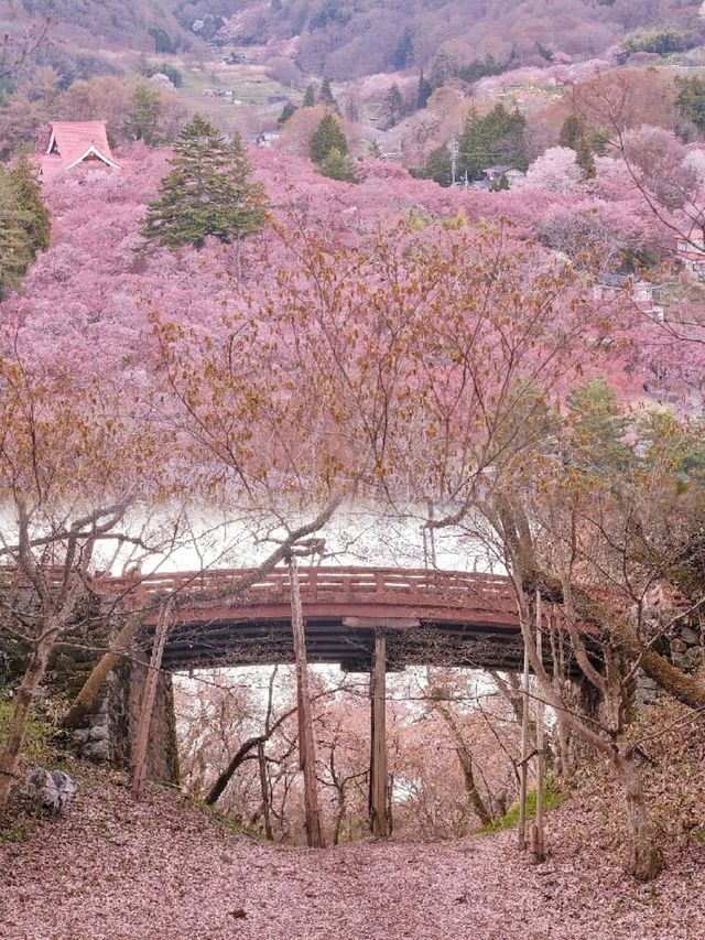 長野·戶隱神社