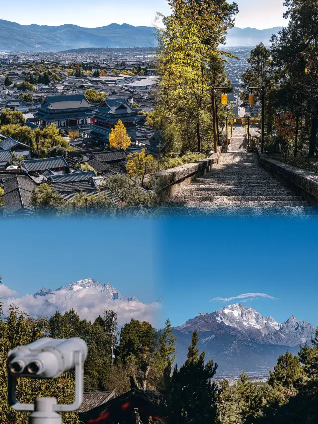 為了這些張照片，我特意飛了一趟麗江