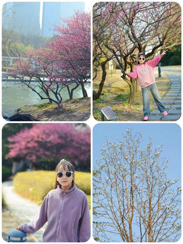蘇州春日踏青，抓住梅花的尾巴