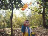 登春山！圌山徒步，不虛此行