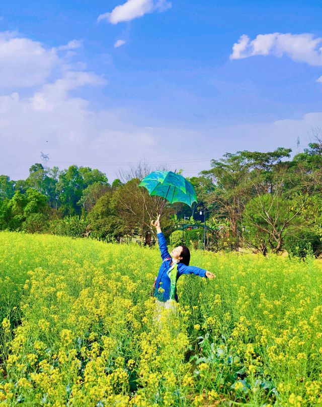 48歲步履不停| 穿上白裙子去拍油菜花海