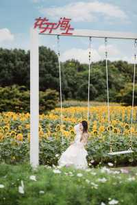 🌻The sunflower's final blooming period❗️Miss it and wait a year❗️