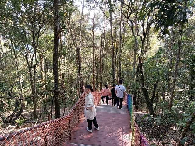 茶馬古道景區