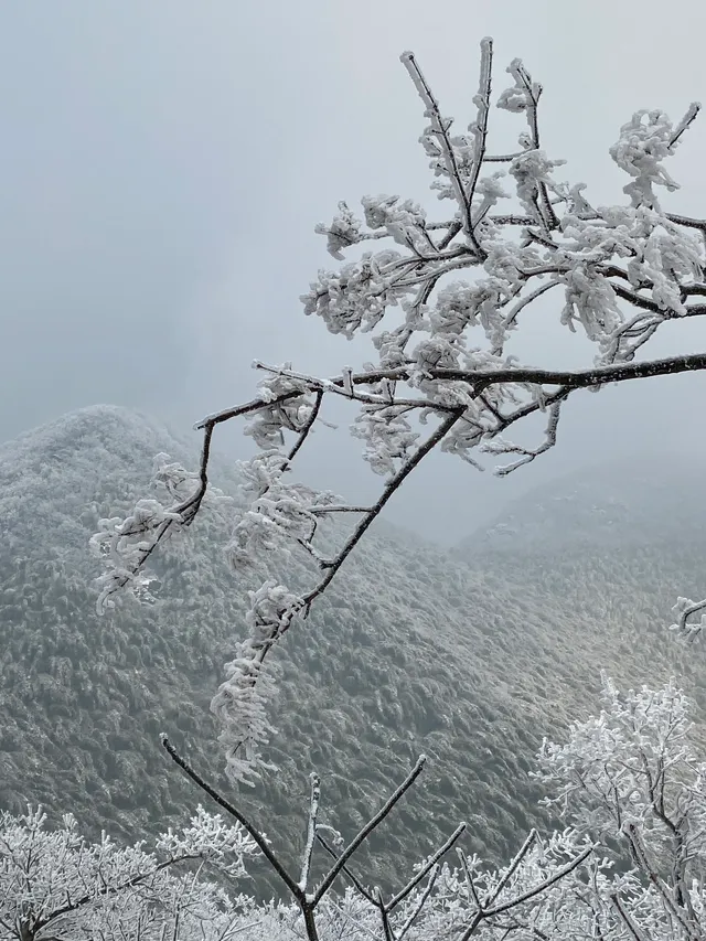 冬天的第一場雪｜我在鸬鳥山看了絕美霧凇