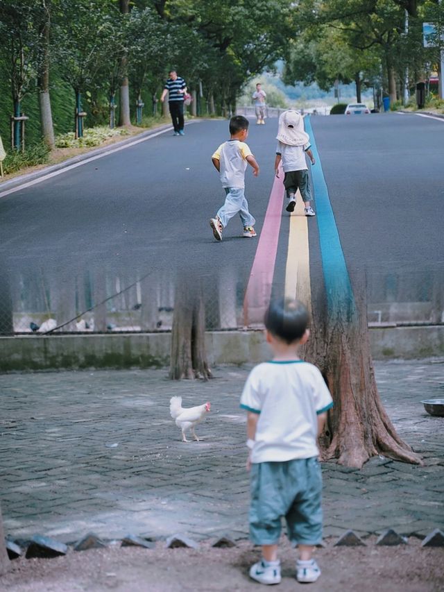 南京小眾休閒地喂孔雀、逗猴子、坐快艇！