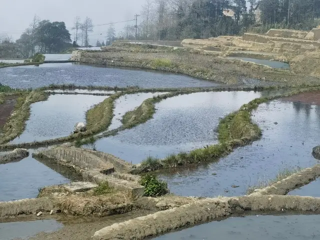 The Yuanyang Rice Terraces in Yunnan - A masterpiece of nature