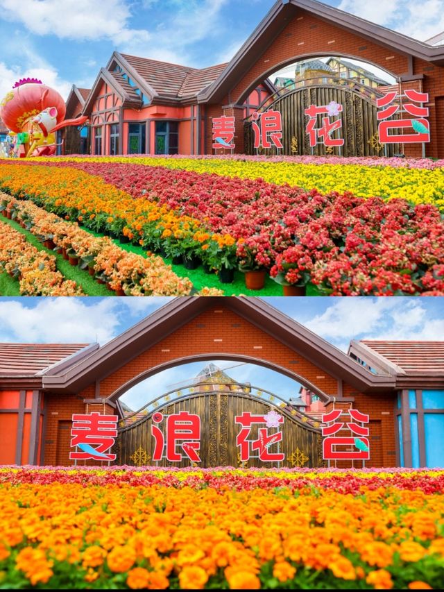 河源酒店性價比之王！！真心驚豔到啦