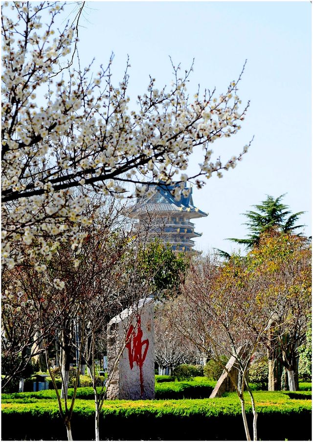 <《春遊廣場梅園》