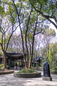 上海踏青爬山 挑戰最高峰天馬山