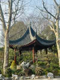 很受歡迎的小眾花園| 真如公園