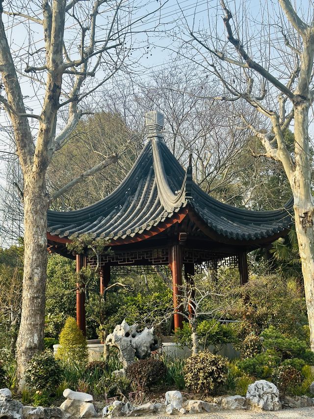 很受歡迎的小眾花園| 真如公園
