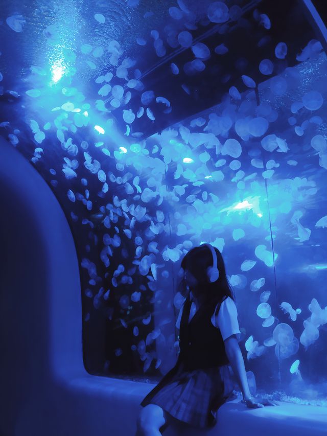 深圳海洋館|掉入 藍色夢境🫧