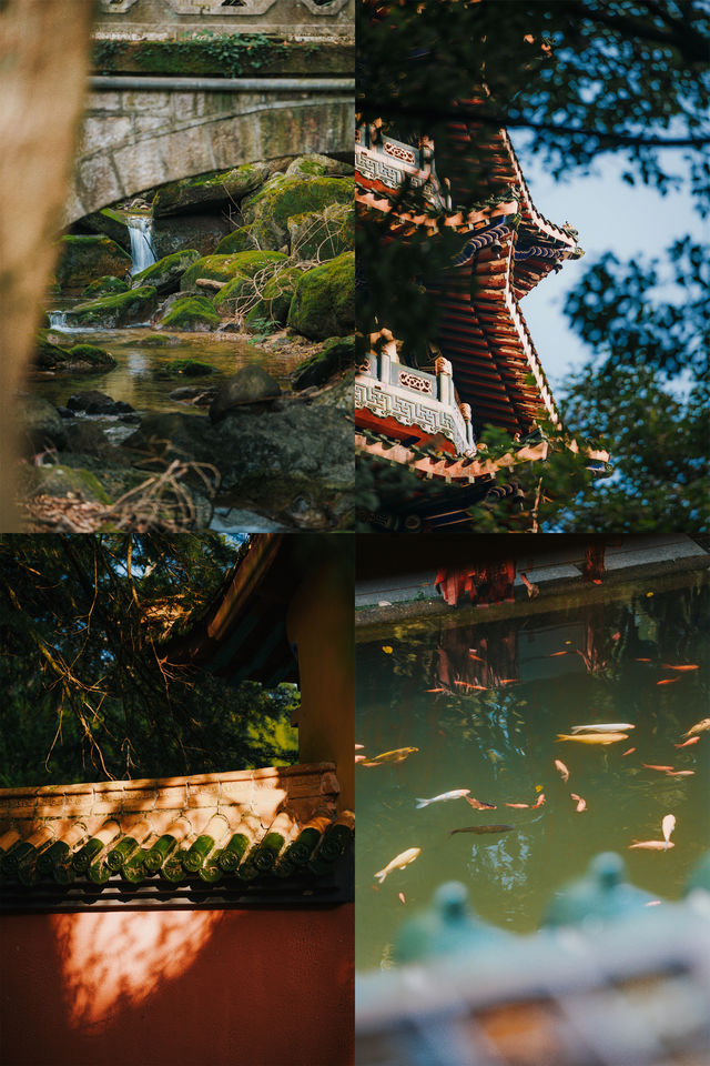 面山背寺，山野私湯的悠然週末