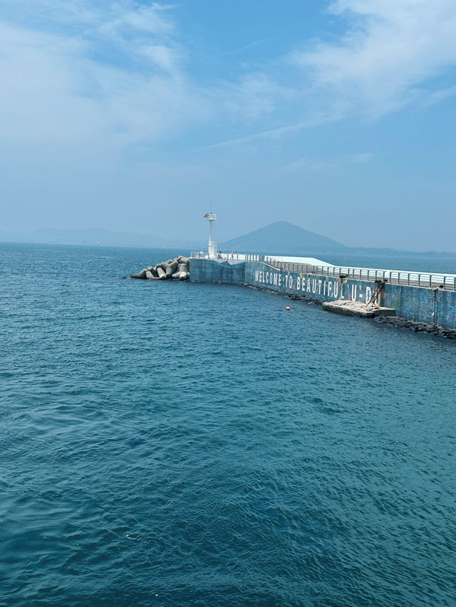 韓國旅遊 怎麼可以不去牛島呢