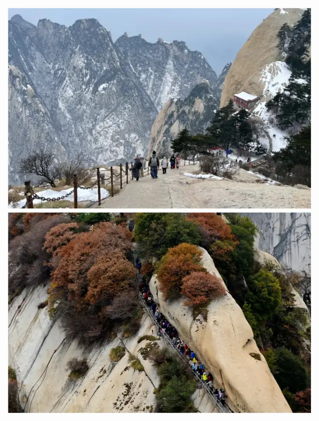 華山‖「峥嵘崔巍、手可摘星辰」