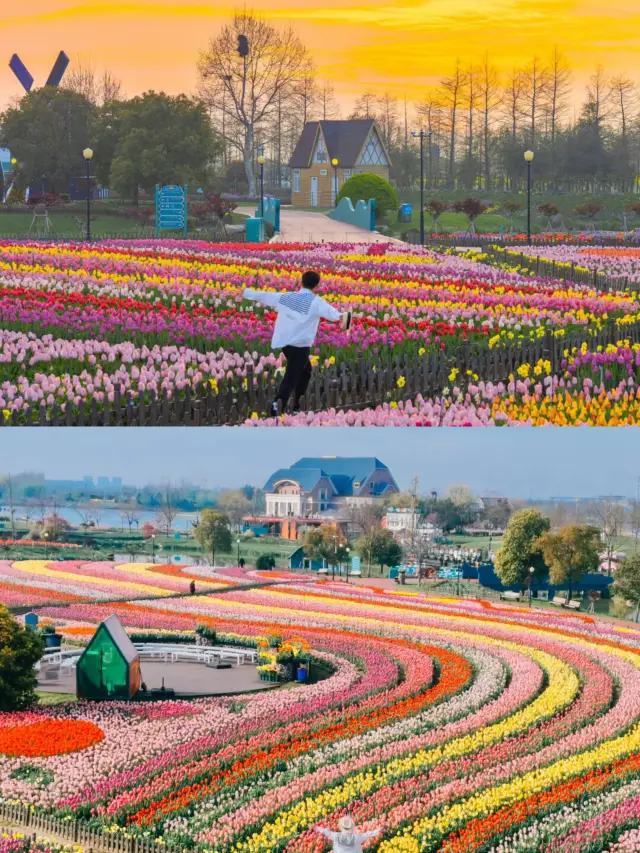 In Yancheng, I would like to call it the tulip ceiling of admiration