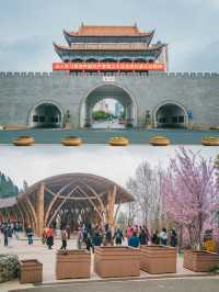 自駕雲南｜曲靖寥廓公園，粉色系賞花夢想之地