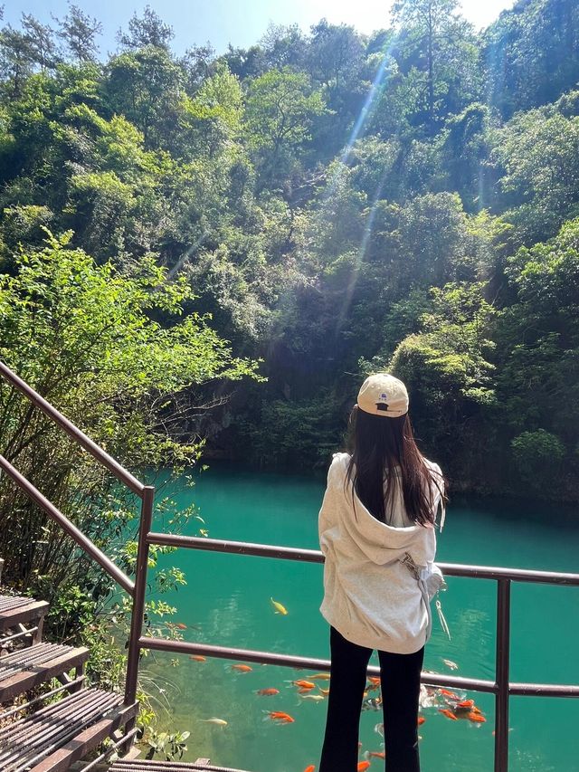 桐廬大奇山一日遊